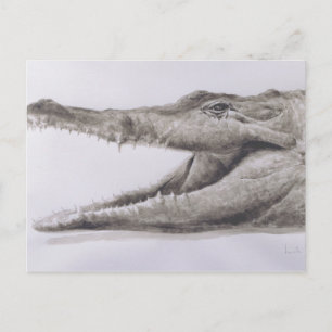 Carte Postale Crocodile 2005