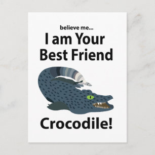 Carte Postale Crocodile Alligator Drôle
