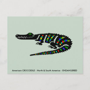 Carte Postale CROCODILE américain cool - Faune - Nature verte