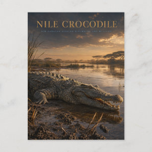 Carte Postale Crocodile du Nil Rivière africaine ANIMAUX