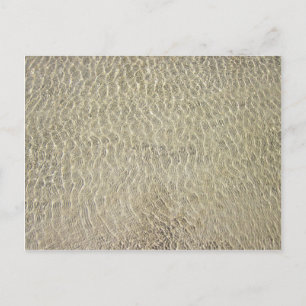 Carte Postale Crocodile Tan Motif en cuir