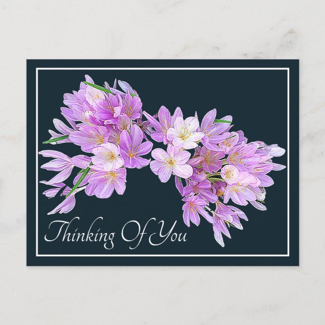 Carte Postale Crocu rose/violet Fond gris Réflexion pour vous (Devant)