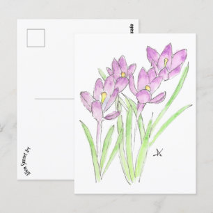 Carte Postale crocus