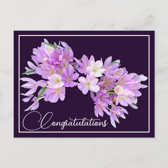 Carte Postale Crocus rose/violet Fond violet arrière-plan Félici (Devant)
