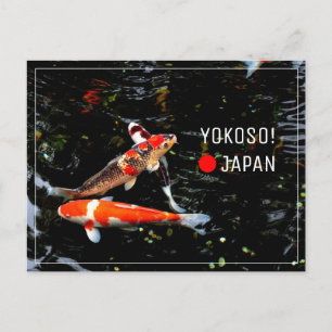Carte Postale Croisement de poisson japonais Koi nishikigi