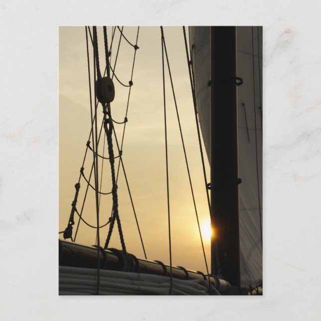 Carte Postale Croisière au coucher du soleil (Devant)