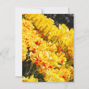 Carte Postale Croissance en or