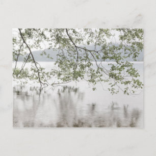 Carte Postale Croissant du lac   Parc national olympique, WA