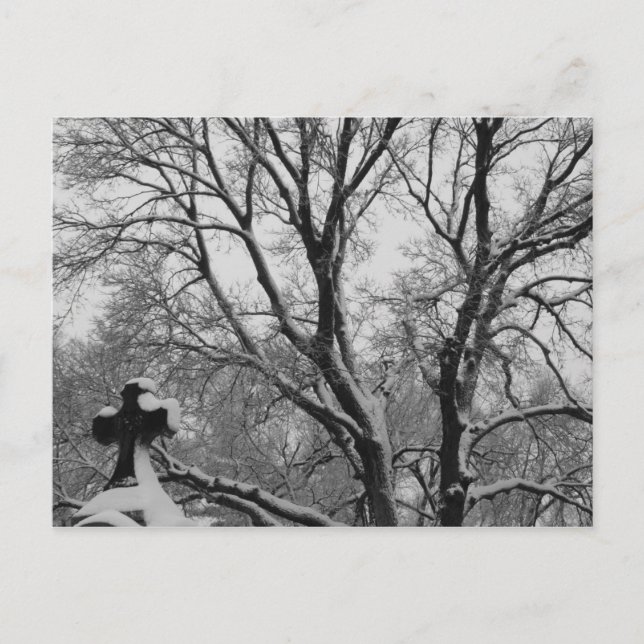 Carte Postale Croix de neige (Devant)