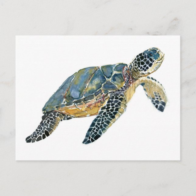 Carte Postale Croquis d'aquarelle de la tortue de mer (Devant)