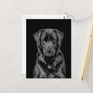 Carte Postale Croquis de chien Labrador noir adorable chiot anim