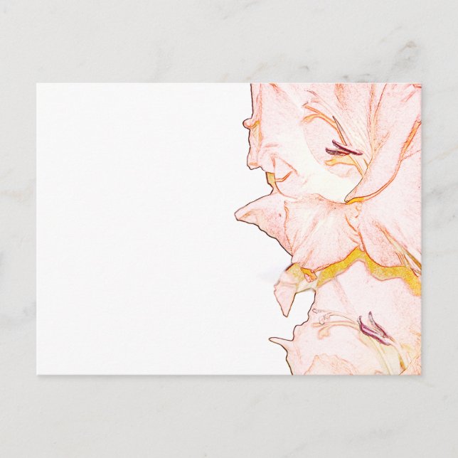Carte Postale Croquis de Gladiolus (Devant)