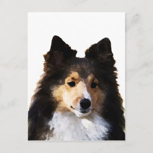 Carte Postale Croquis de peinture Sheltie Dog