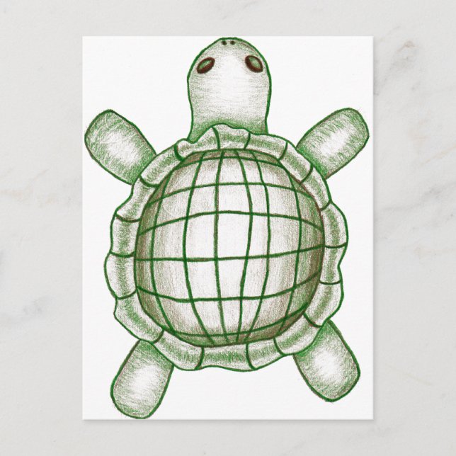 Carte Postale Croquis de tortue (Devant)