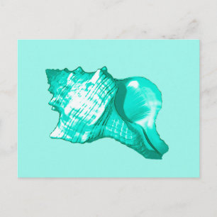 Carte Postale Croquis en coquille de conc - turquoise, blanche e