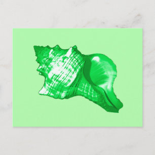 Carte Postale Croquis en coquille de conc - vert émeraude et cit