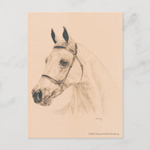 Carte Postale Croquis par Susan Pelisek Kolberg