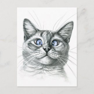Carte Postale Cross Eyed cat G122