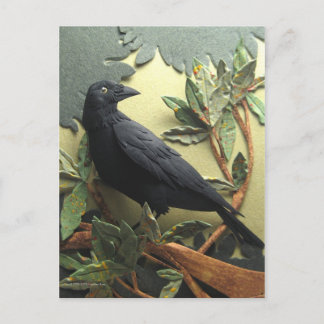 Carte postale Crow