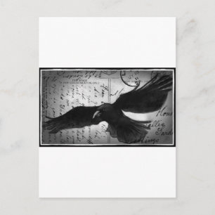 Carte Postale Crow deluxe