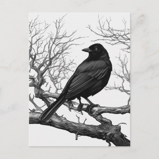 Carte Postale Crow Perched on Bare Winter Branches (Devant)