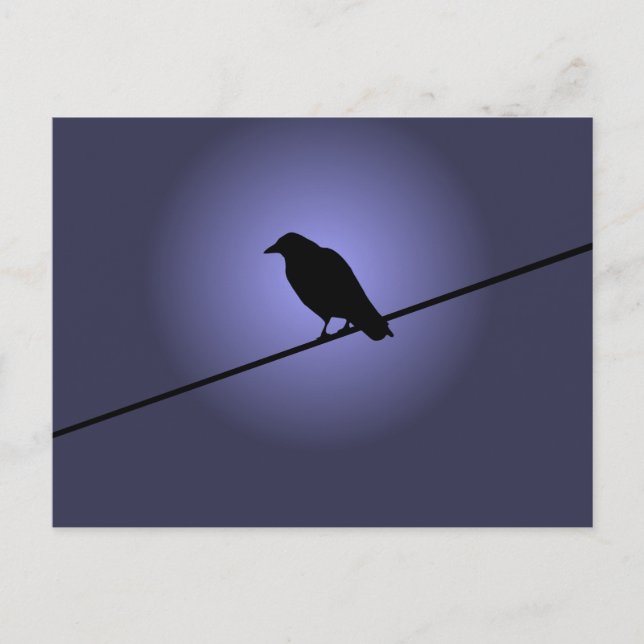 Carte Postale Crow sur fil téléphonique (Devant)