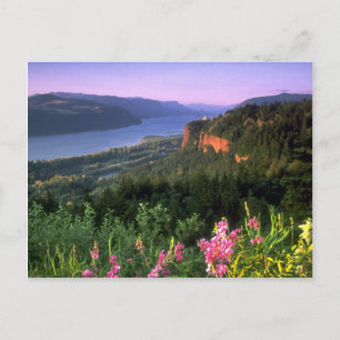 Carte Postale Crown Point, Columbia River Gorge, Oregon