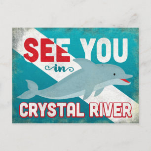 Carte Postale Crystal River Dolphin - Retro Vintage Travel