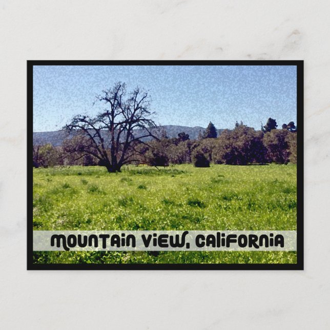 Carte Postale Cuesta Park Annex, Mountain View, Californie (Devant)