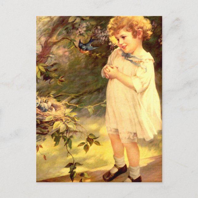Carte Postale Cuisine victorienne avec oiseaux (Devant)