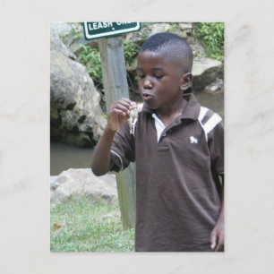 Carte Postale Cuisses de grenouille