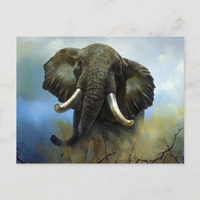 Carte Postale Cuisson, éléphants (Devant)