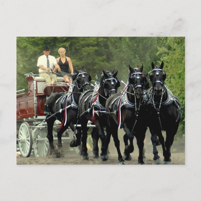 Carte Postale culpeper va version provisoire (Devant)