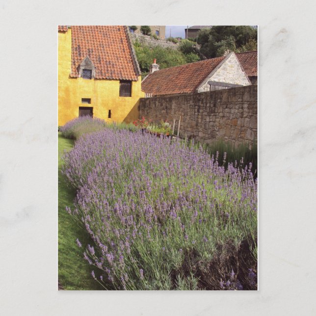 Carte Postale Culross Palace - Le Jardin Avant (Devant)