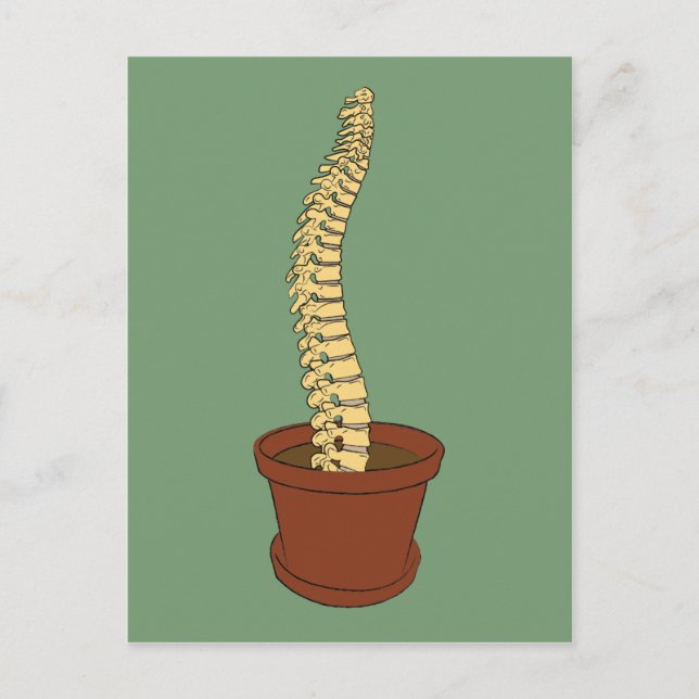 Carte Postale Cultiver Une Spine (Devant)