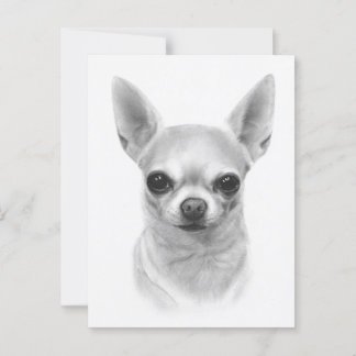 Carte Postale "Cunami" Peint à la main Chihuahua Portrait