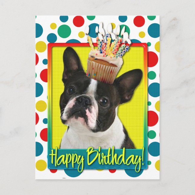 Carte Postale Cupcake anniversaire - Boston Terrier (Devant)