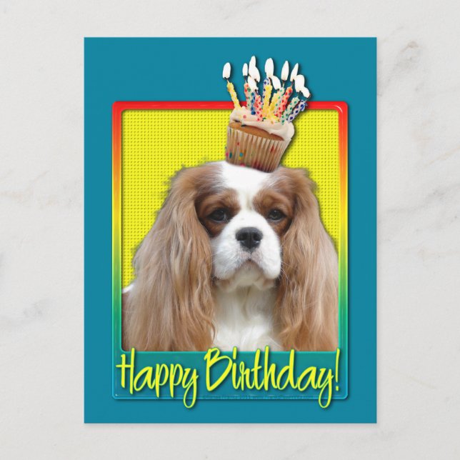 Carte Postale Cupcake anniversaire - Cavalier - Blenheim (Devant)