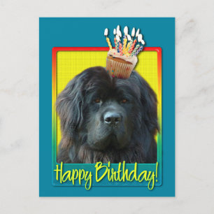 Carte Postale Cupcake anniversaire - Terre-Neuve