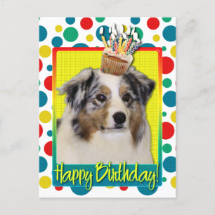 Carte Postale Cupcake d'anniversaire - Berger australien