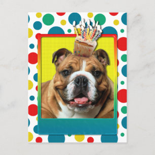 Carte Postale Cupcake d'anniversaire - Bulldog - Dark