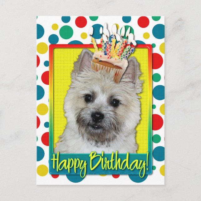 Carte Postale Cupcake d'anniversaire - Cairn Terrier - Teddy Bea (Devant)