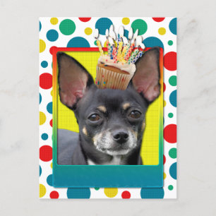 Carte Postale Cupcake d'anniversaire - Chihuahua - Isabella