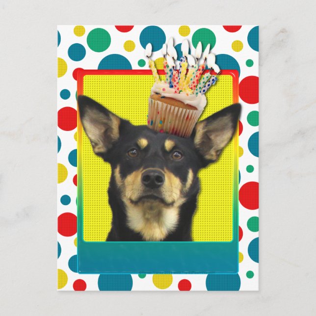 Carte Postale Cupcake d'anniversaire - Kelpie australienne - Jud (Devant)