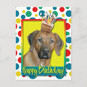 Carte Postale Cupcake d'anniversaire - Rhodesian Ridgeback