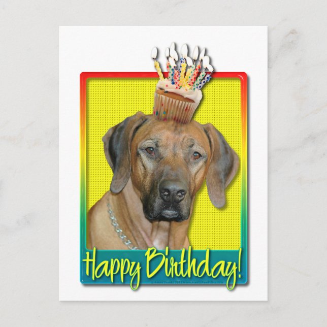 Carte Postale Cupcake d'anniversaire - Rhodesian Ridgeback (Devant)
