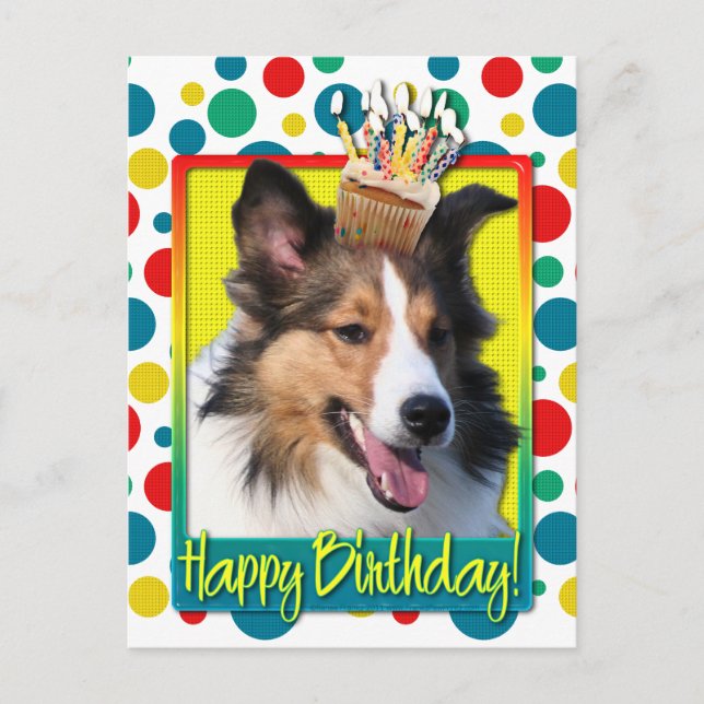 Carte Postale Cupcake d'anniversaire - Shelty (Devant)