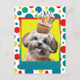 Carte Postale Cupcake d'anniversaire - ShihPoo - Maggie