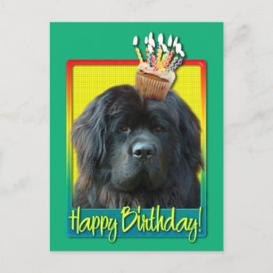 Carte Postale Cupcake d'anniversaire - Terre-Neuve
