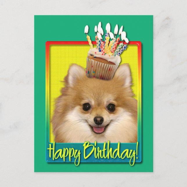 Carte Postale Cupcake Pomeranian (Devant)
